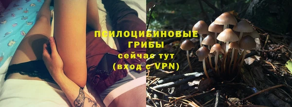 альфа пвп Горно-Алтайск