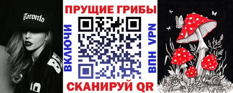 Псилоцибиновые грибы мицелий Динская