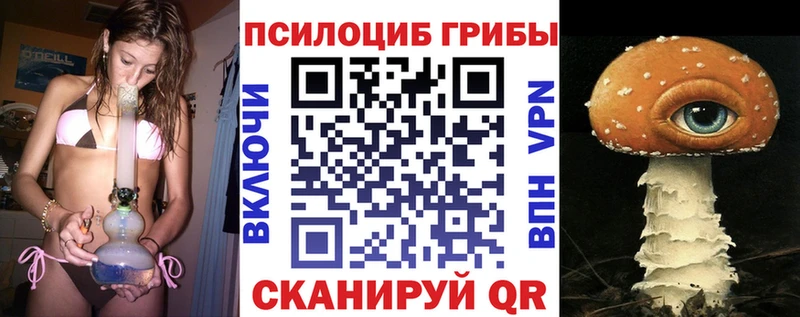 хочу   Динская  Галлюциногенные грибы ЛСД 